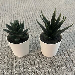 Set of Two Faux Succulents in White Pots